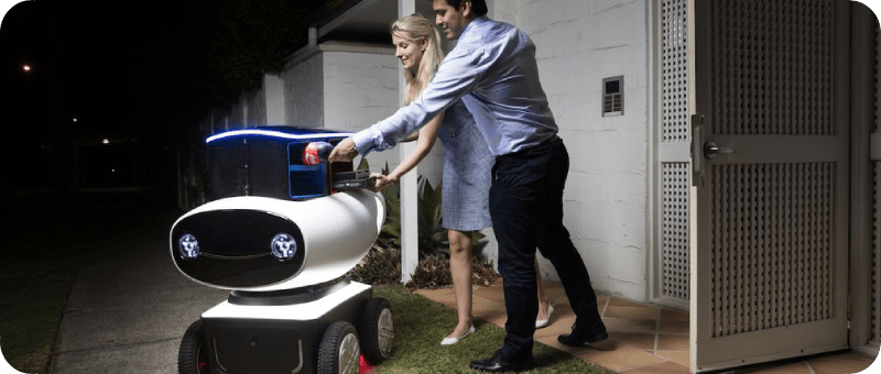 Domino robot